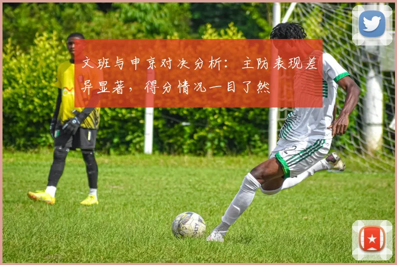 文班与申京对决分析：主防表现差异显著，得分情况一目了然