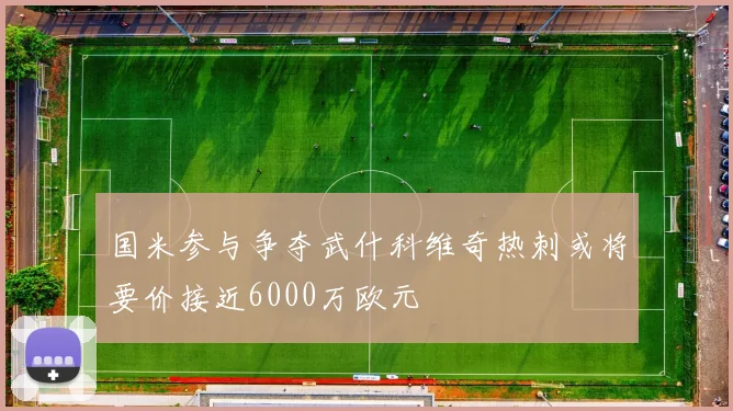 国米参与争夺武什科维奇热刺或将要价接近6000万欧元